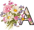 Kvety abecedy