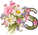 Kvety abecedy