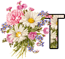 Kvety abecedy