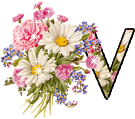 Kvety abecedy